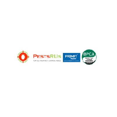 Logo of Pests R Us Ltd