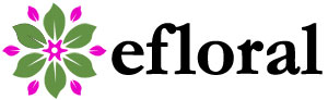 Logo of eFloral Florists In Crowborough, East Sussex