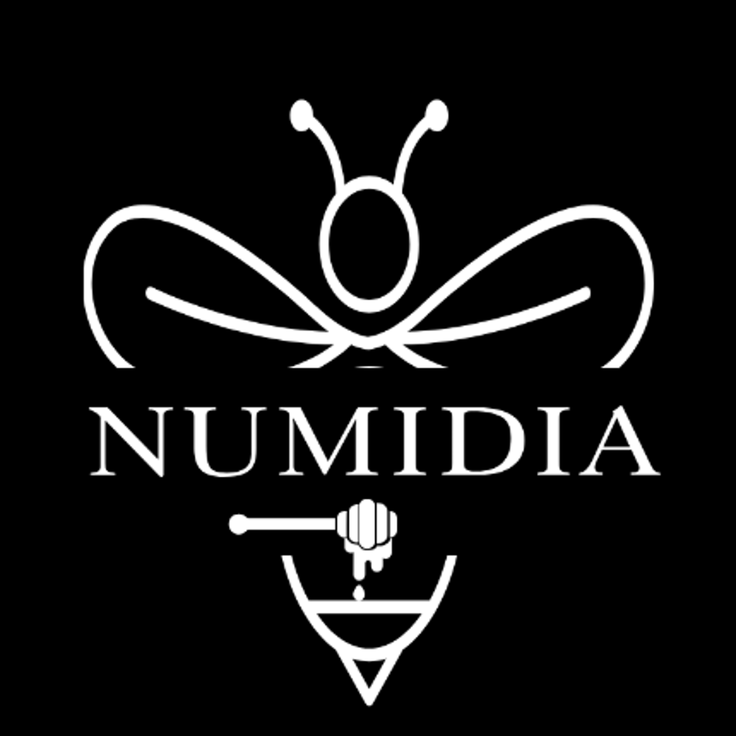 Logo of Numidia Kingdom ltd