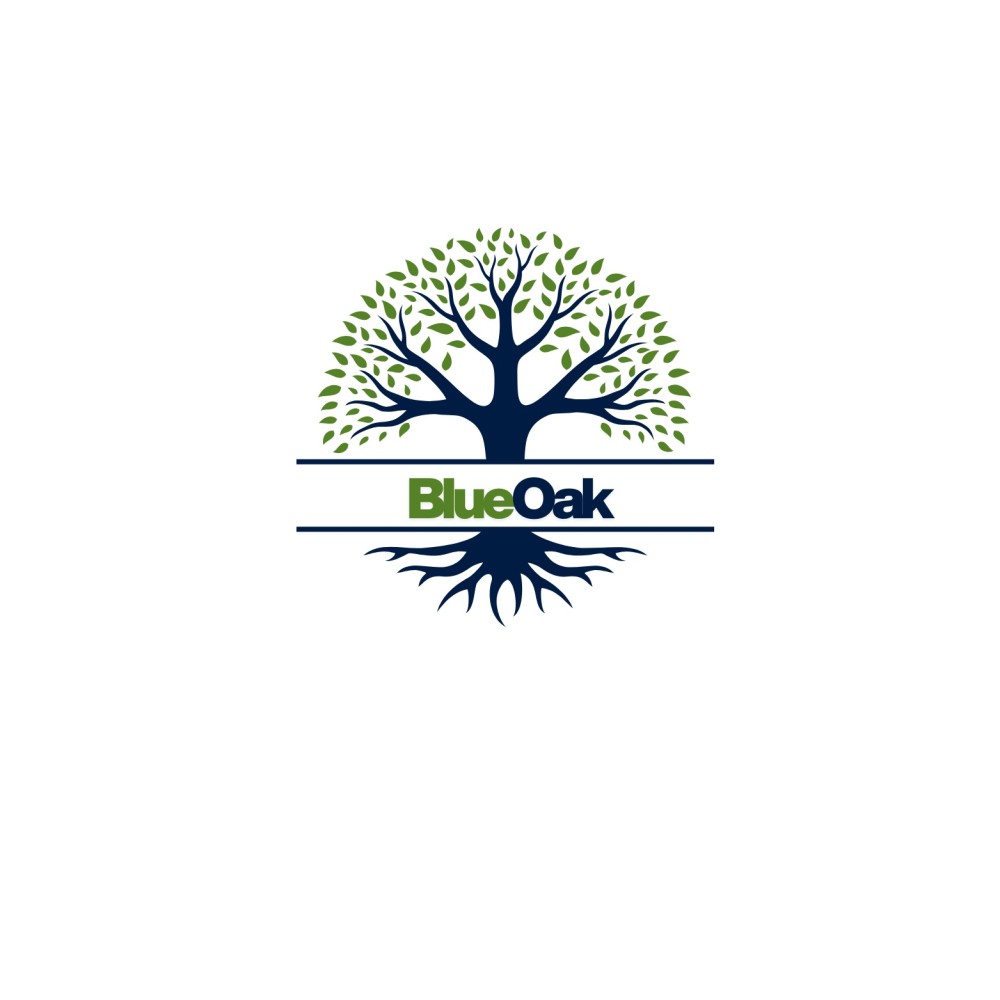 Logo of BlueOak Kingston