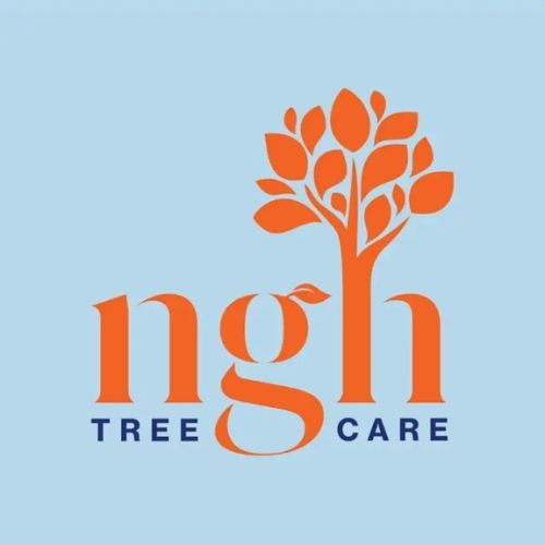 Logo of NGH Tree Care Tree Surgeon In Chobham, Woking Logo of NGH Tree Care Tree Surgeon In Chobham, Woking