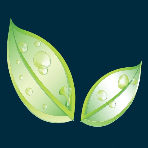 Logo of Knightingale Landscapes