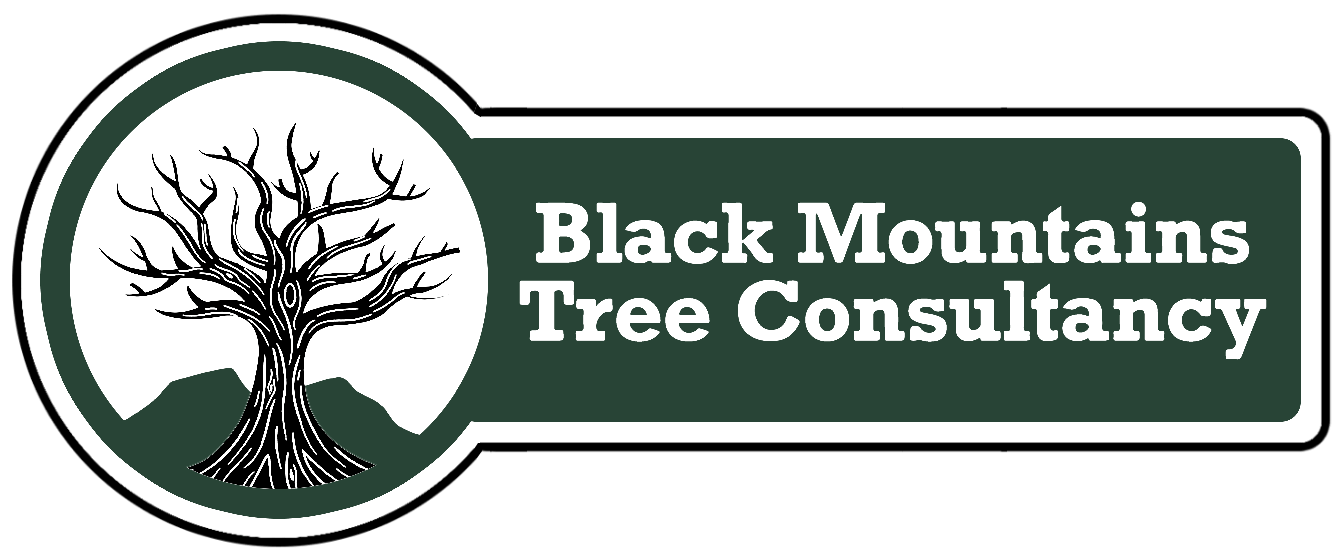 Logo of Black Mountains Tree Consultancy