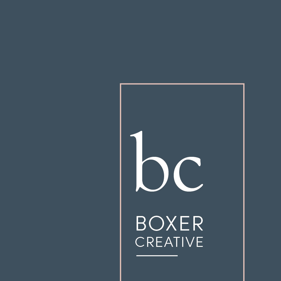 Logo of Boxer Creative