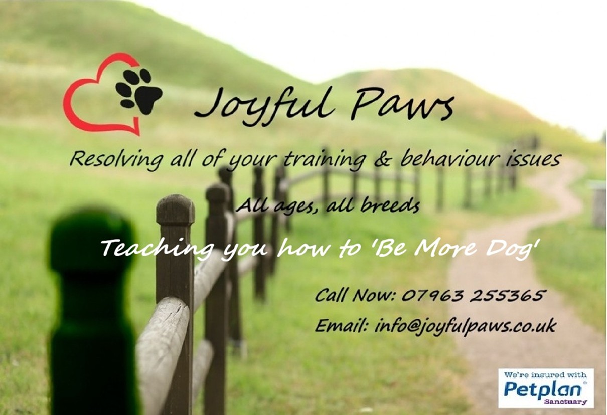 Logo of Joyful Paws