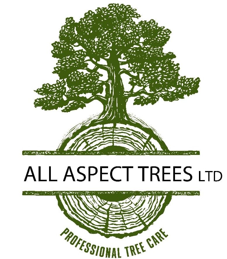 Logo of All Aspect Trees Ltd