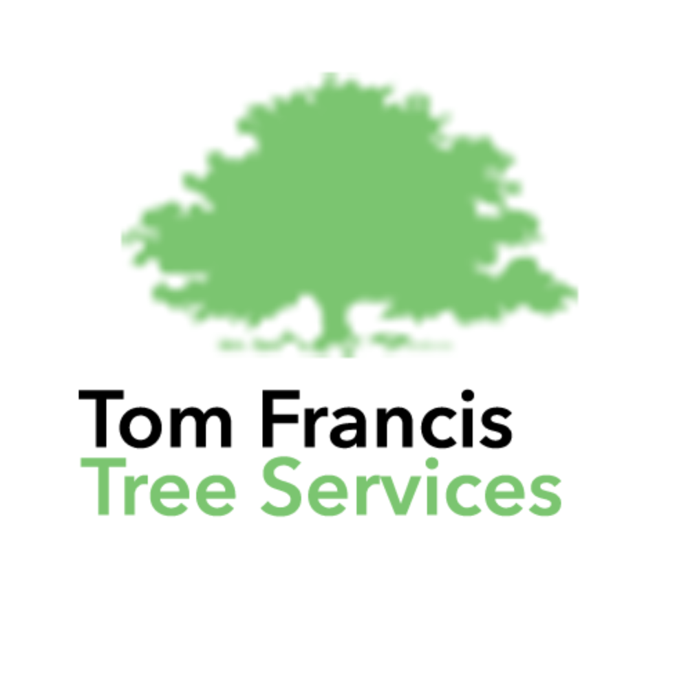 Logo of Tom Francis Tree Services