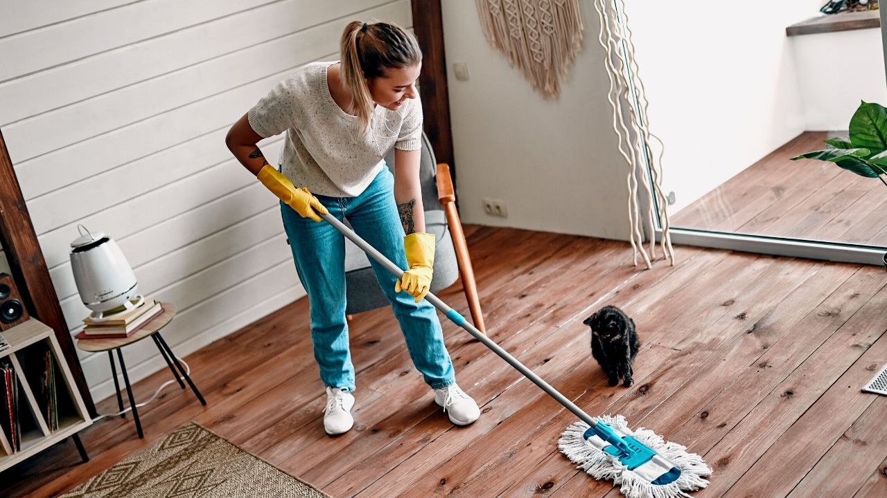 Logo of Prestij Cleaning