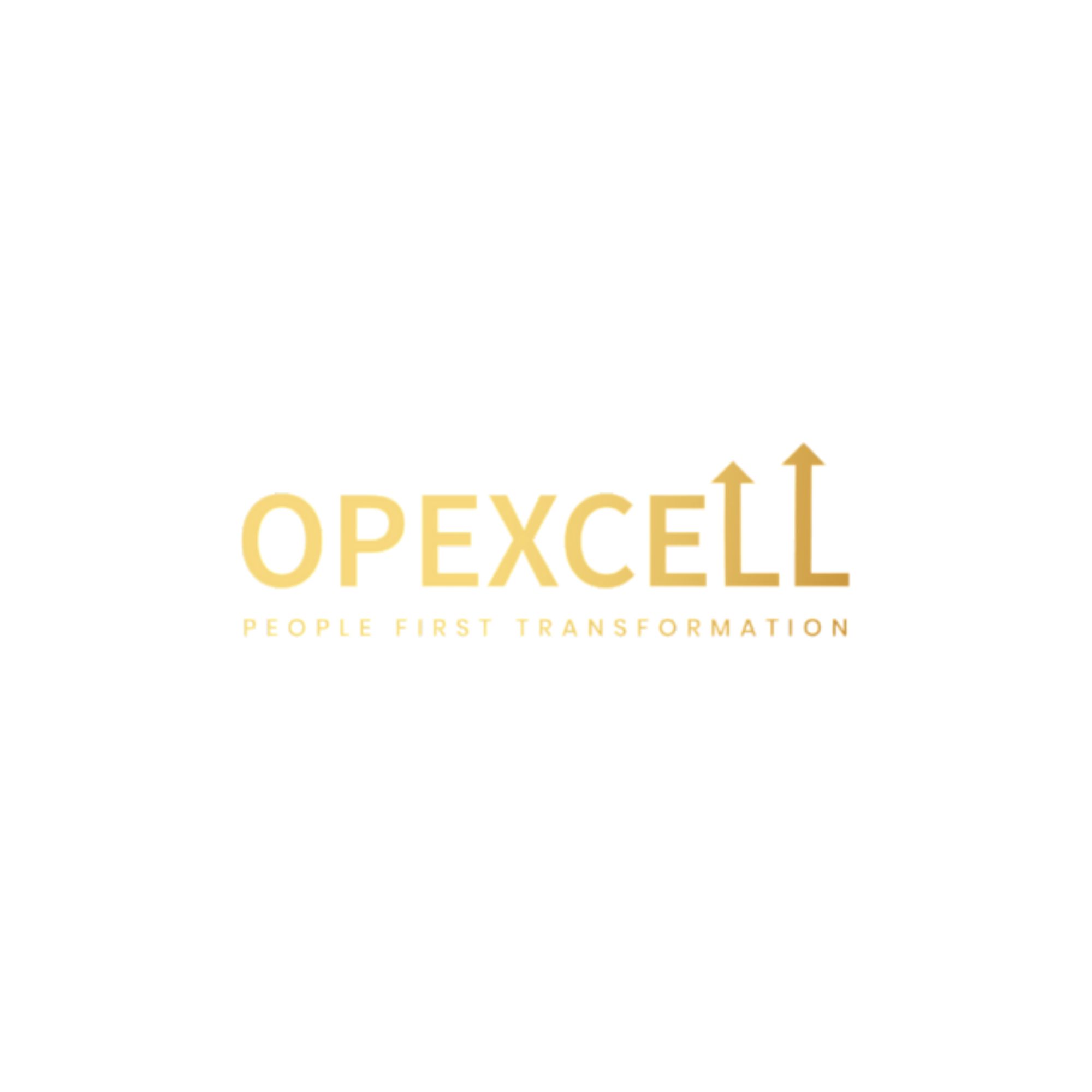 Logo of Opexcell Limited