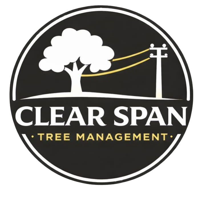 Logo of Clearspan Tree Management