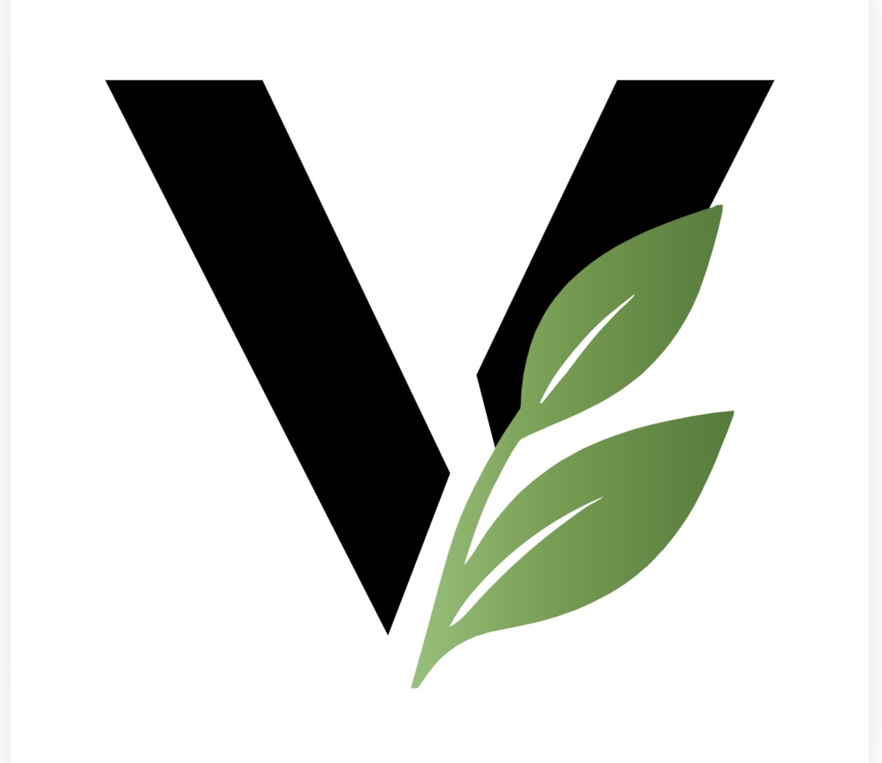 Logo of Vision Garden Spaces Ltd