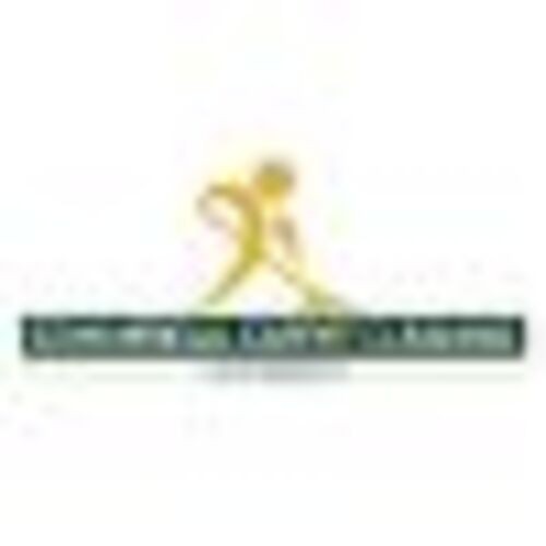 Logo of Commercial Carpet Cleaning London