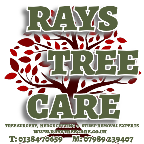 Logo of Rays Tree Care