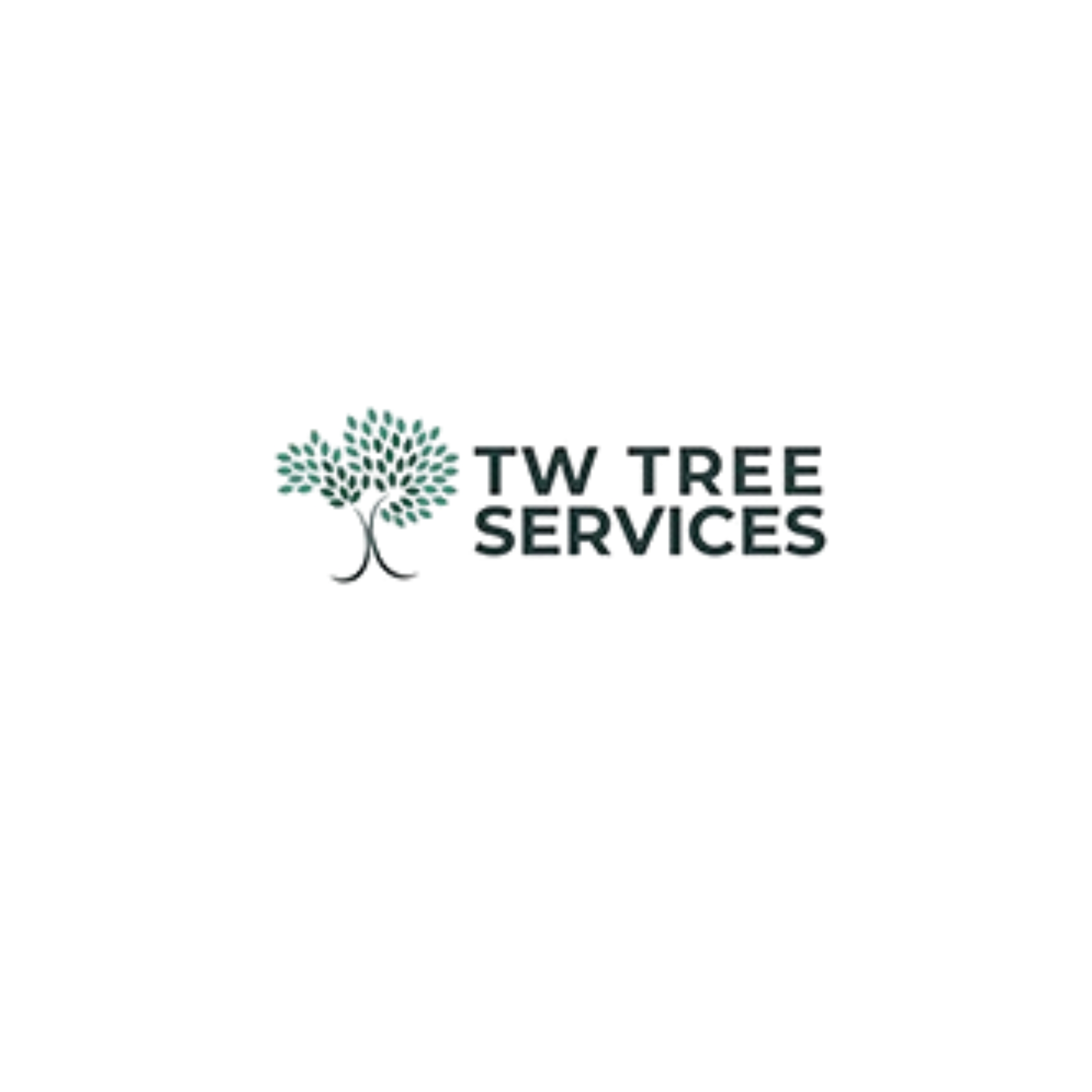 Logo of TW Tree Services Tree Surgeon In Chobam, Surrey Logo of TW Tree Services Tree Surgeon In Chobam, Surrey