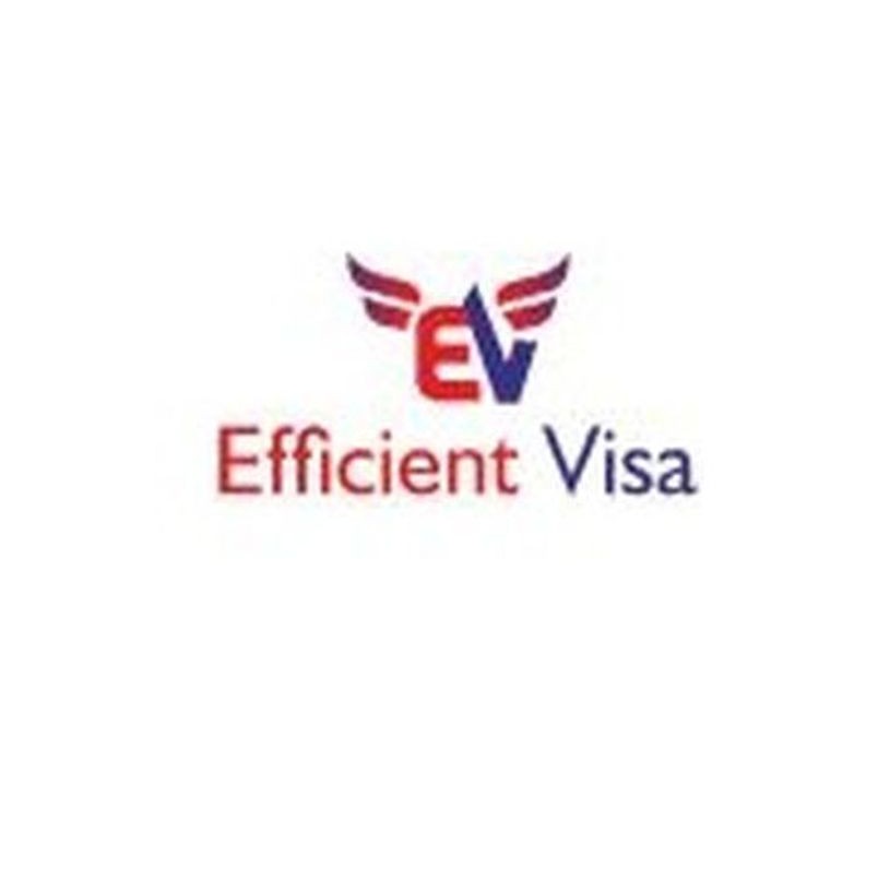 Logo of Efficient Visa