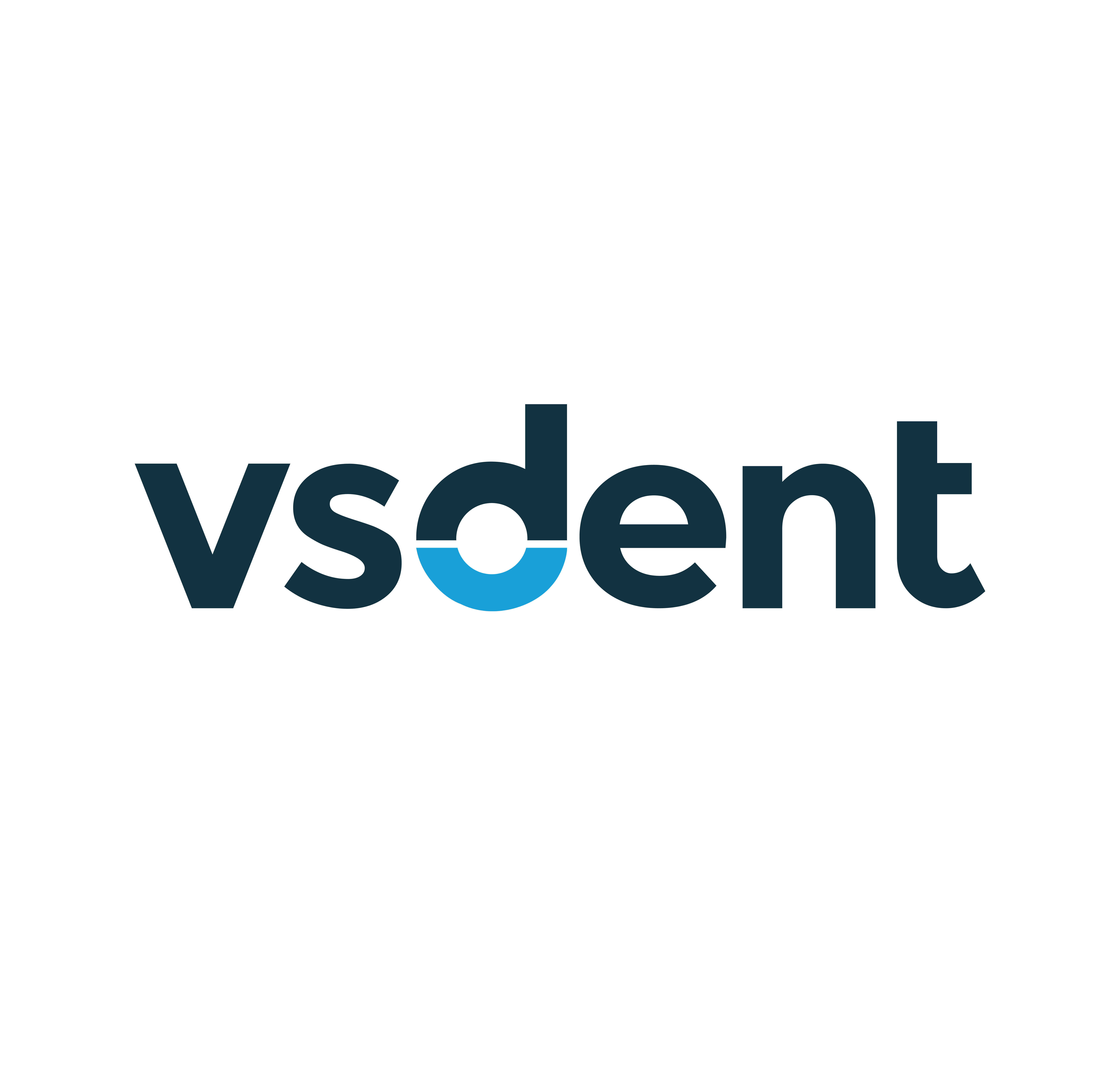 Logo of VSDent