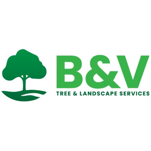 Logo of B V Tree Landscape Services