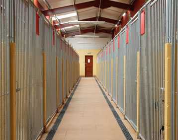 Best Dog Kennels In Cheshire Best Dog Kennels In Cheshire