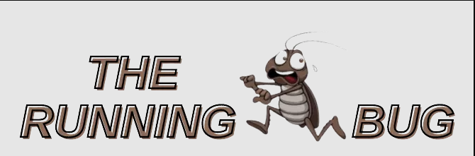 Logo of The Running Bug Virtual Running Challenges In Pudsey, Leeds Logo of The Running Bug Virtual Running Challenges In Pudsey, Leeds