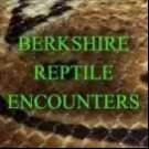 Logo of Berkshire Reptile Encounters Childrens Parties In Woking, Surrey