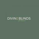 Logo of Divine Blinds Of Norwich