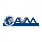 Logo of AVM Storage and Shipping