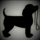 Logo of AC K9 Dog Grooming Dog Clipping And Grooming In Swindon, Wiltshire