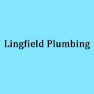 Logo of Lingfield Plumbing