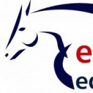 Logo of Equess