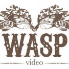 Logo of Wasp Video Music Video Production Preston Lancashire  North West