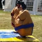 Logo of The sumo suits hire company Bouncy Castle Hire In Worthing, West Sussex