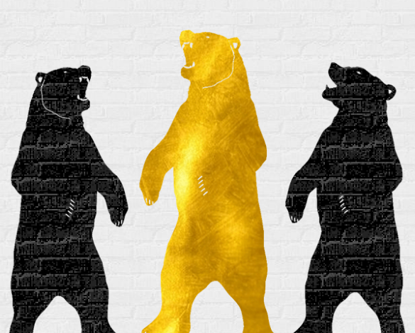 Logo of Gold Bear Removals Brighton Removals And Storage - Household In Brighton, East Sussex