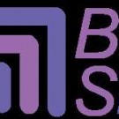 Logo of Bespoke Slides