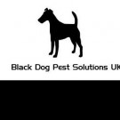 Logo of Black Dog Pest Solutions UK