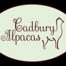 Logo of Cadbury Alpacas Alpaca Emporium And Alpaca Breeders In Bristol