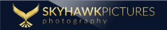 Logo of Skyhawk Pictures