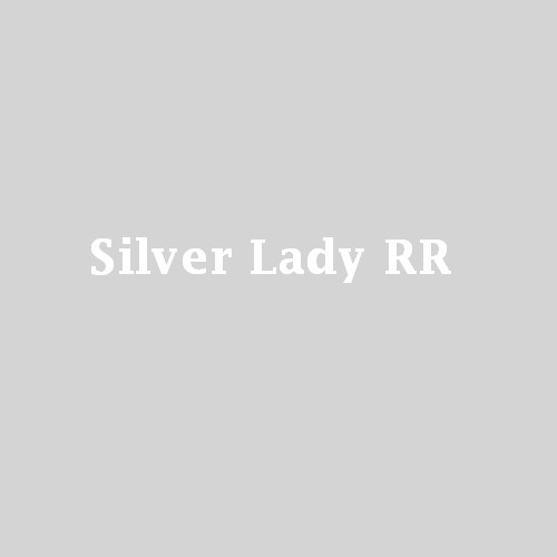 Logo of Silver Lady RR Wedding Cars In Kings Lynn, Norfolk