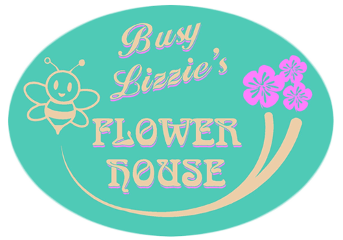 Logo of Busy Lizzies Flower House