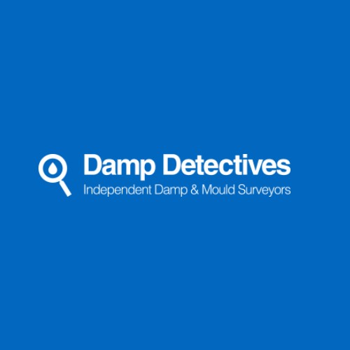 Logo of Damp Detectives Ltd