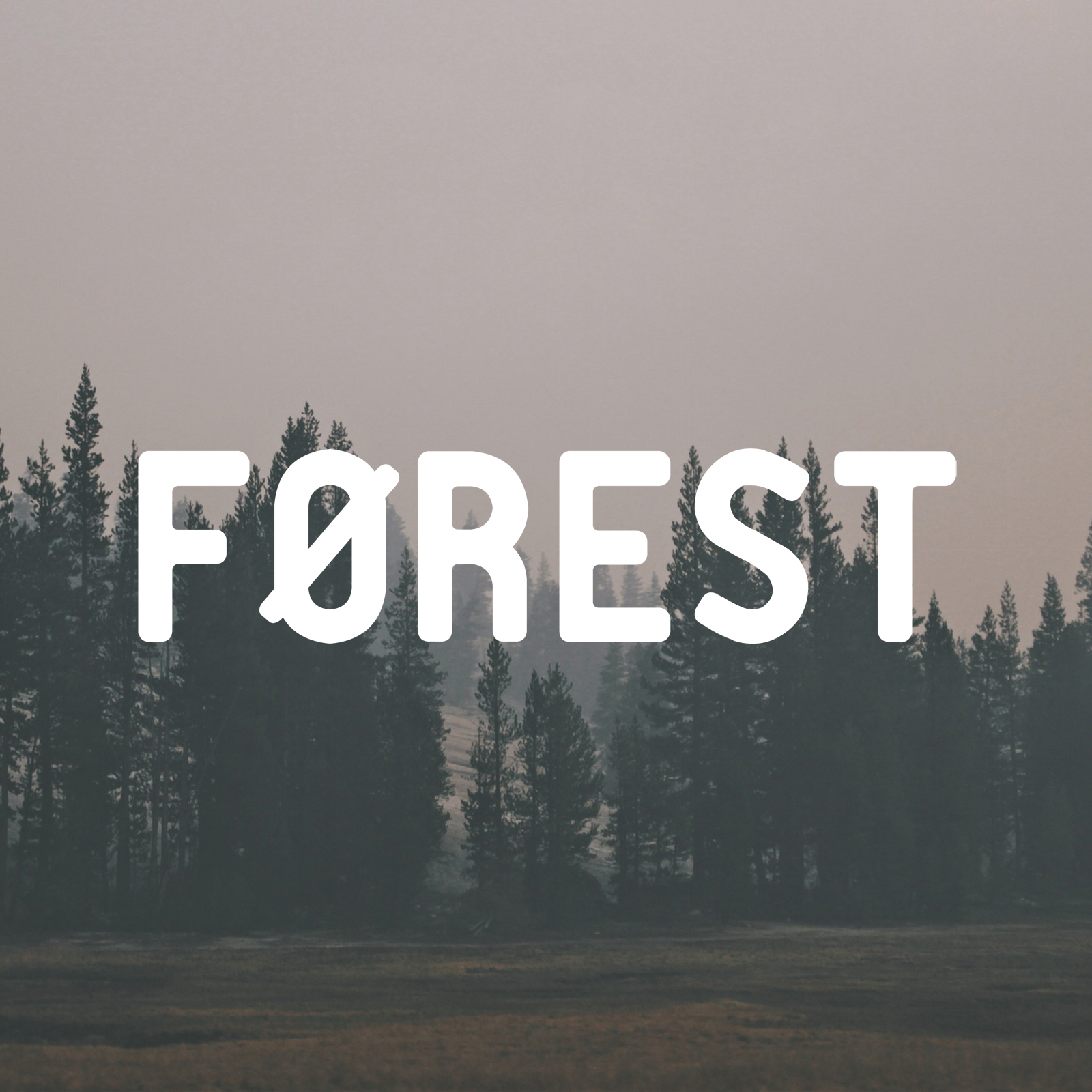 Logo of Forest Web Design Reading Website Design In Reading, Berkshire