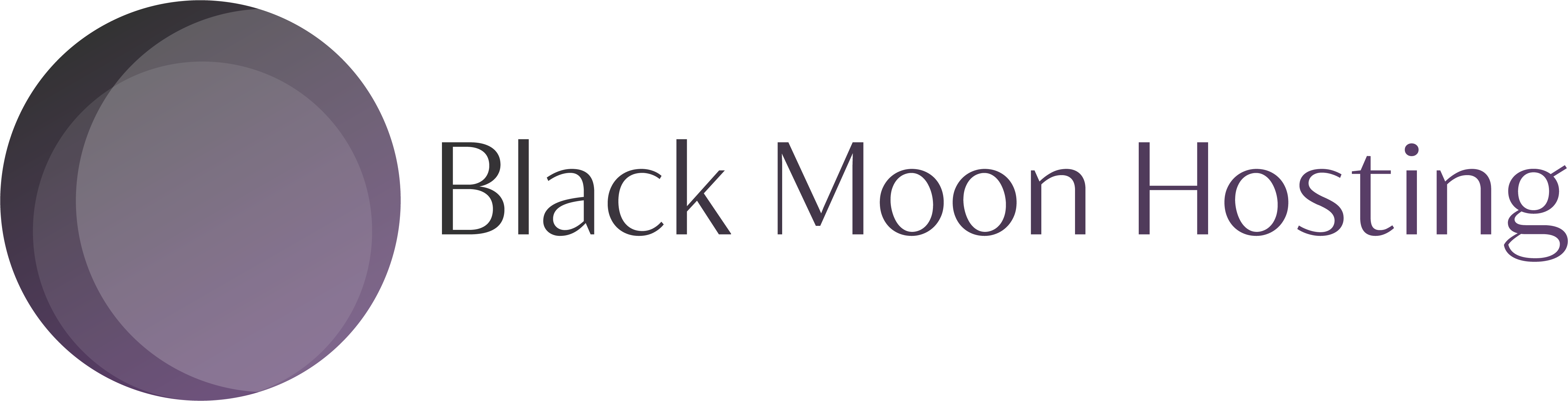 Logo of Black Moon Hosting Services Website Design In Chesterfield, Derbyshire