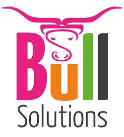Logo of BULL SOLUTIONS