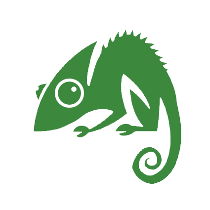 Logo of Chameleon Web Services Website Design In Birmingham, West Midlands