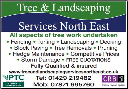 Logo of Tree & Landscaping Service North East Tree Surgeon In Peterlee, Durham
