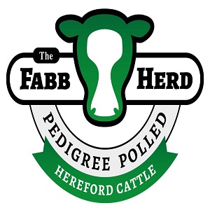 Logo of Fabb Herd Polled Herefords Farming - Livestock And Other Animals In Huntingdon, Cambridgeshire