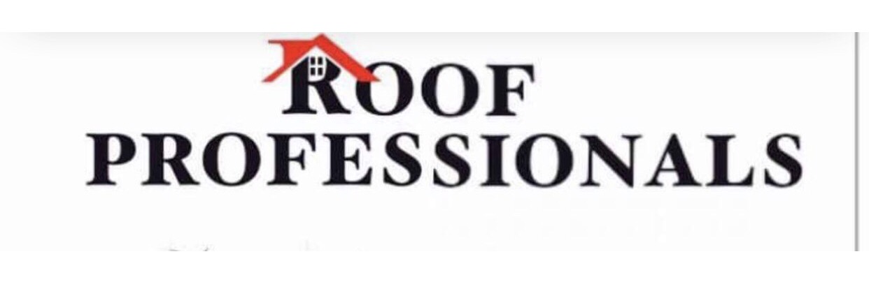 Logo of ROOF PROFESSIONALS