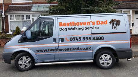 Logo of Beethoven's Dad Dog Walkers In Stoke On Trent, Staffordshire
