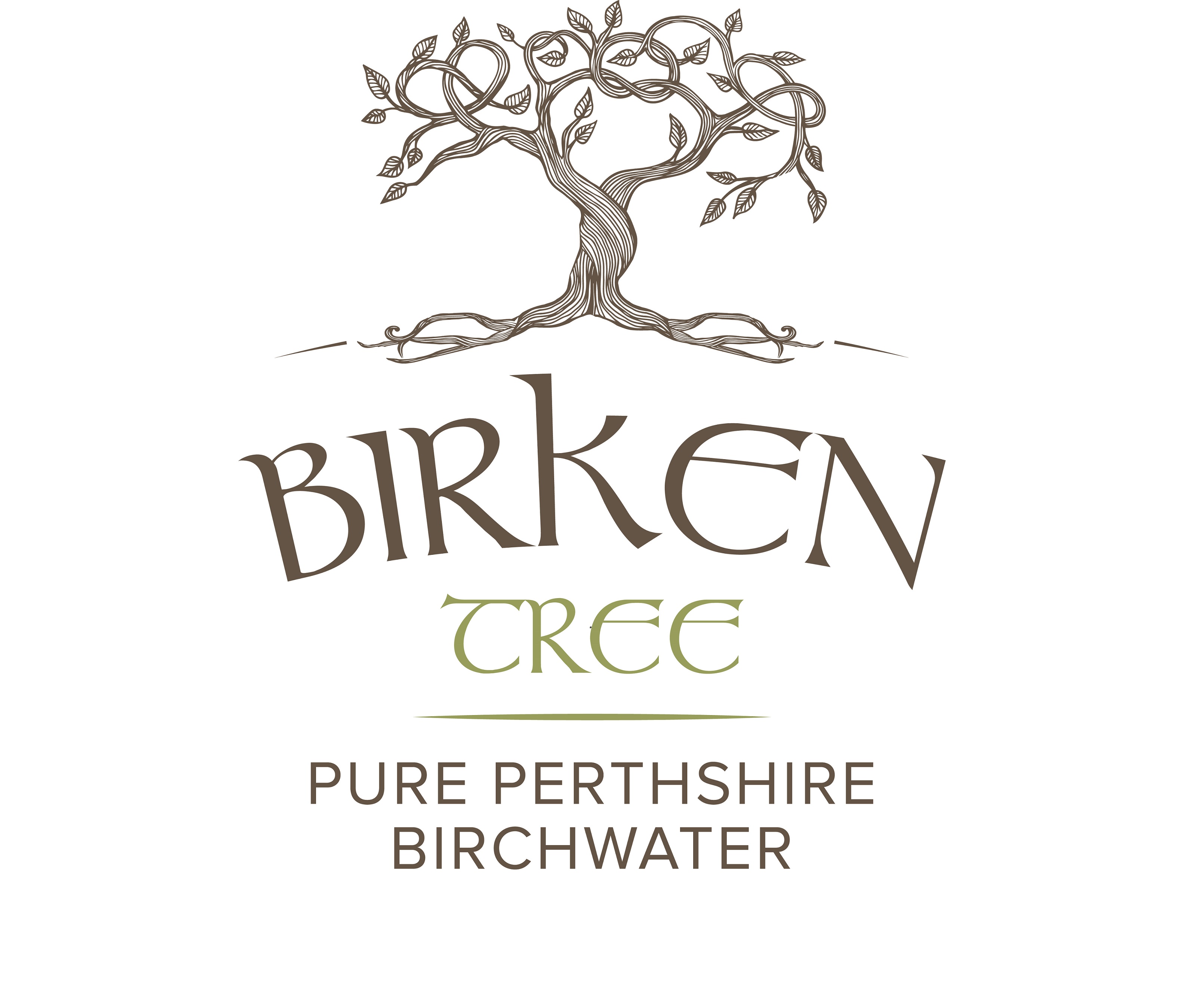 Logo of Birken Tree