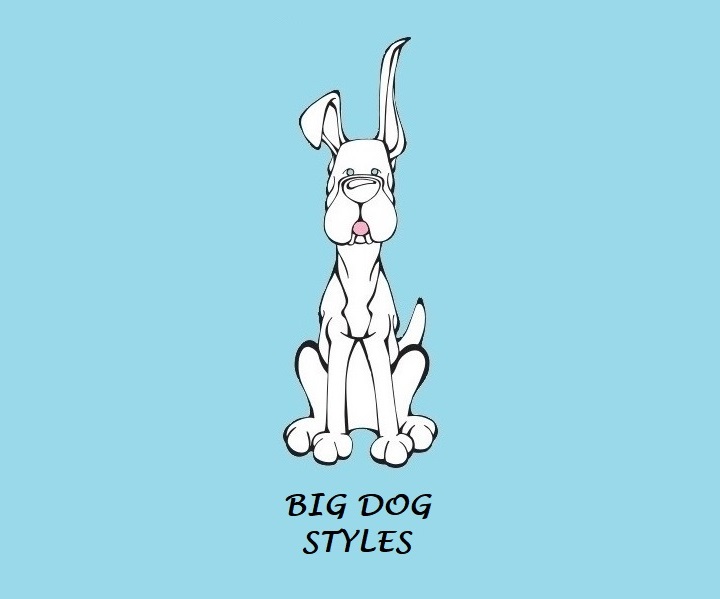 Logo of Big Dog Styles