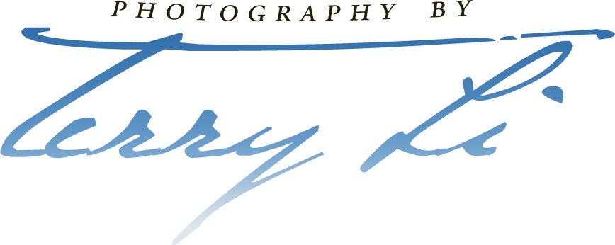 Logo of Terry Li Photography